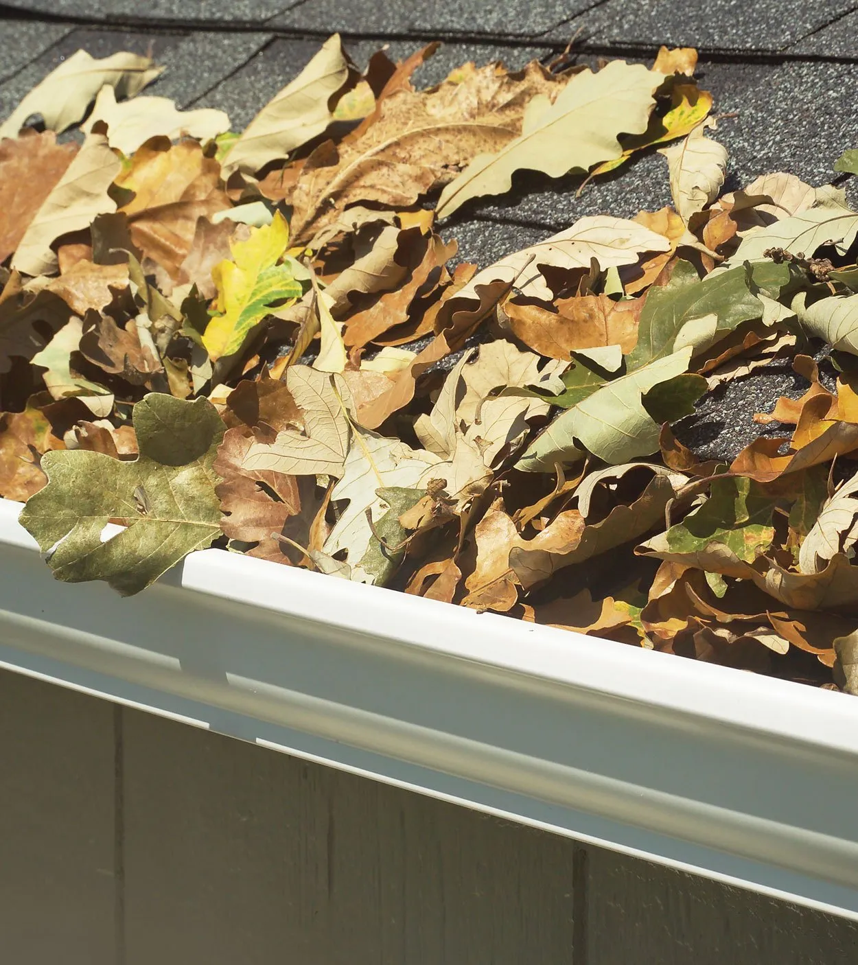 The same gutter without protection, packed with wet leaves.